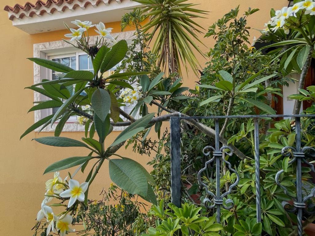Apartamentos Ana Tazacorte Exteriér fotografie